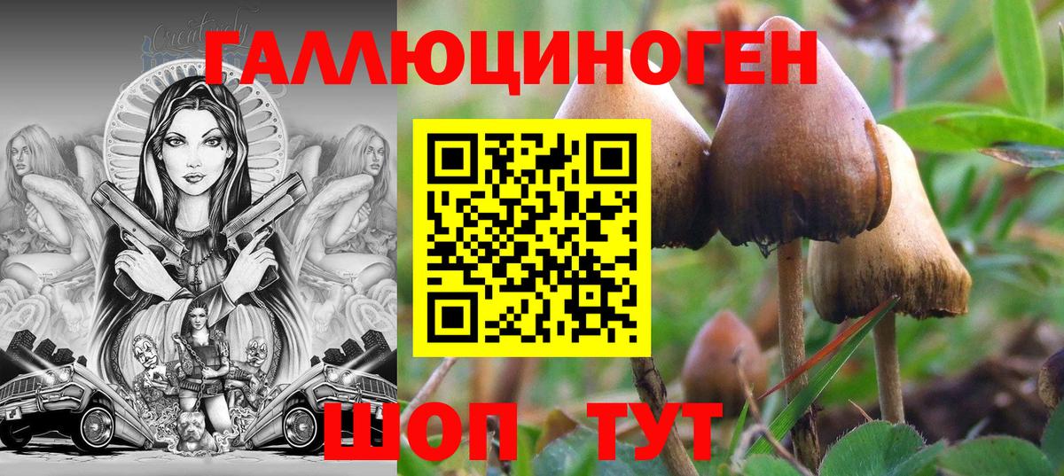 Псилоцибиновые грибы ЛСД  Вход с VPN  Новодвинск 