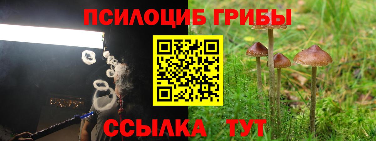 Галлюциногенные грибы мицелий Новодвинск