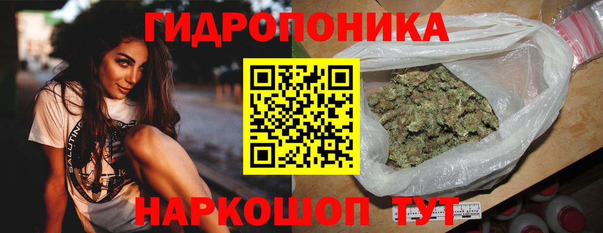 Каннабис планчик Новодвинск